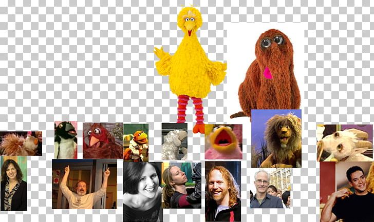 Elmo Big Bird Telly Monster The Muppets Wikia PNG, Clipart, Alice Dinnean, Big Bird, Carmen Osbahr, Collage, Elmo Free PNG Download