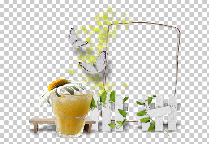 Frames PNG, Clipart, Animaatio, Cup, Drinkware, Film Frame, Flower Free PNG Download