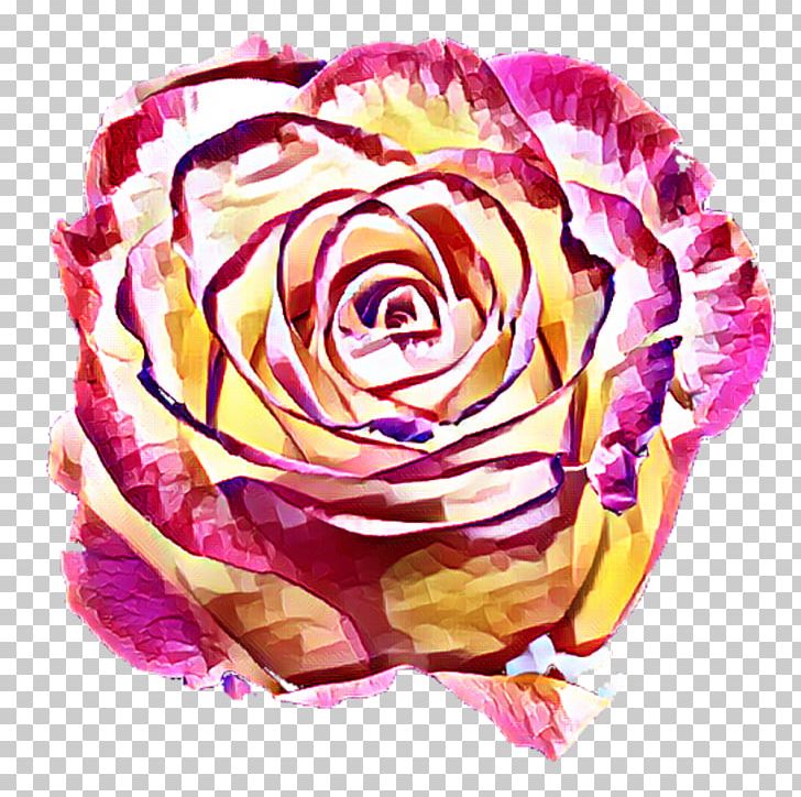 Garden Roses Cabbage Rose Floral Design Cut Flowers Petal PNG, Clipart, Bloom, Blossom, Bouquet, Cut Flowers, Floral Design Free PNG Download