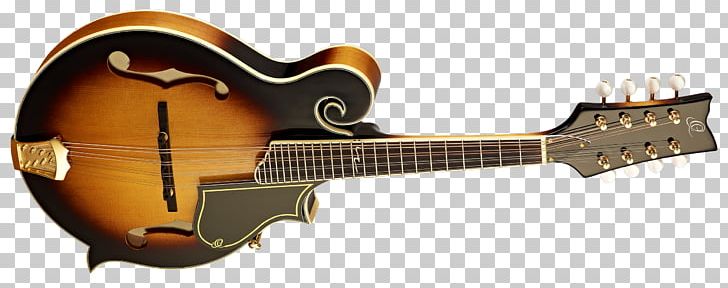 Musical Instruments Mandolin String Instruments Classical Guitar PNG, Clipart, Acoustic Electric Guitar, Amancio Ortega, Classical Guitar, Guitar Accessory, Mus Free PNG Download