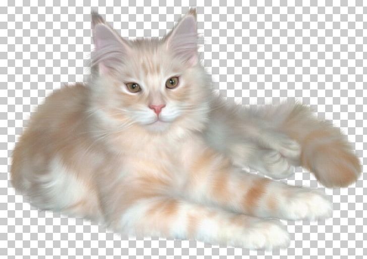 Persian Cat Kitten Pet Sitting PNG, Clipart, Animals, Art, Asian Semi Longhair, Black Cat, Carnivoran Free PNG Download