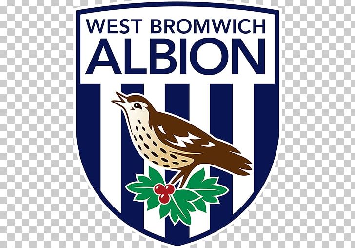 The Hawthorns West Bromwich Albion F.C. Premier League Crystal Palace F.C. Liverpool F.C. PNG, Clipart, Advertising, Albion, Area, Artwork, Beak Free PNG Download