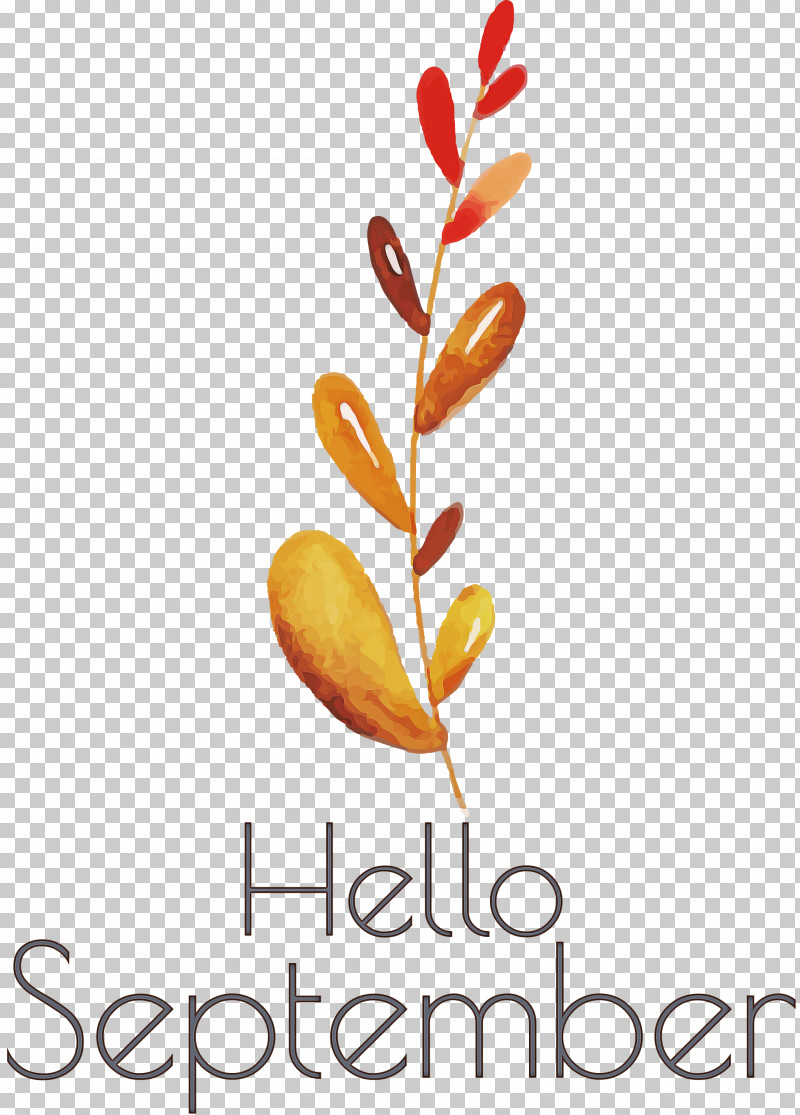 Hello September September PNG, Clipart, Hello September, Meter, Petal, September Free PNG Download