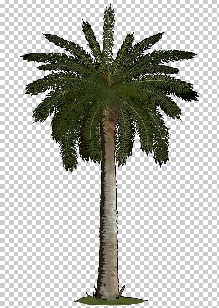 Arecaceae Sago Palm Tree Areca Palm Phoenix Roebelenii PNG, Clipart, Albizia Julibrissin, Arecaceae, Arecales, Artificial Flower, Attalea Speciosa Free PNG Download