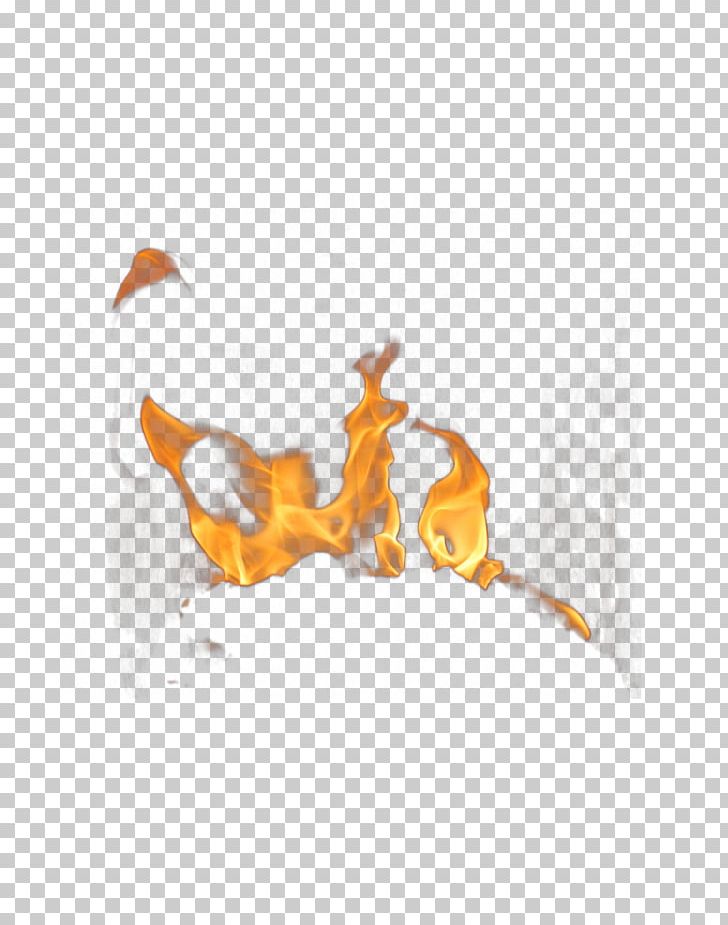 Fire Flame PNG, Clipart, Beautiful Flames, Beauty, Beauty Salon, Buckle, Colored Fire Free PNG Download
