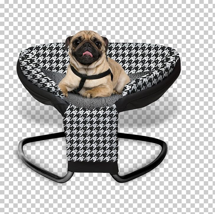 Pug Dog Breed Pet Cat Modern Dog PNG, Clipart, Animals, Breed, Carnivoran, Cat, Chair Free PNG Download