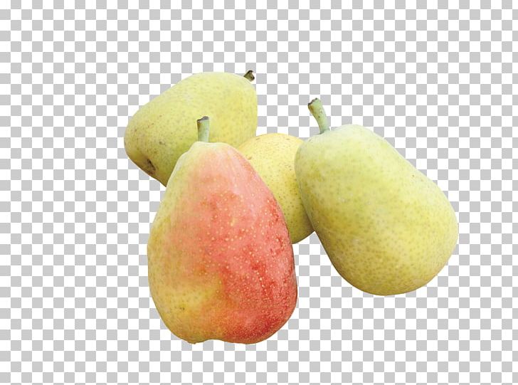 Pyrus Nivalis Pyrus Xd7 Bretschneideri Amygdaloideae Fruit PNG, Clipart, Apple, Auglis, Delicious, Delicious Food, Delicious Melon Free PNG Download
