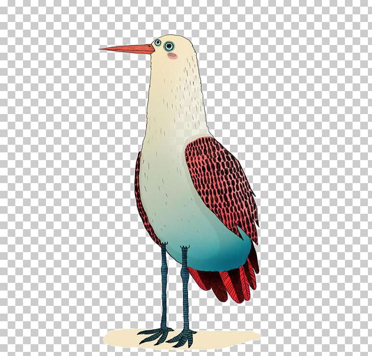 Common Gull Gulls Illustration PNG, Clipart, Animals, Art, Balloon Cartoon, Beak, Bird Free PNG Download