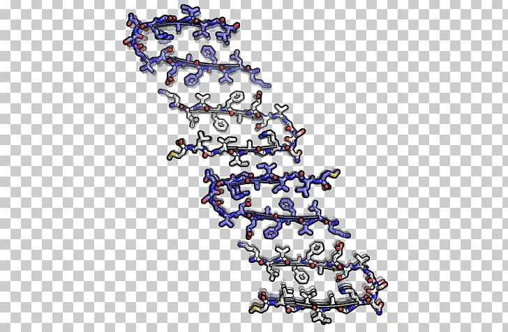 Fibril Amyloid Beta-2 Microglobulin Molecular Model PNG, Clipart, Amyloid, Bead, Beta2 Microglobulin, Body Jewellery, Body Jewelry Free PNG Download