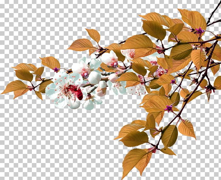 Leaf Green Shrub PNG, Clipart, Art, Blossom, Branch, Camera Logo, Cherry Blossom Free PNG Download