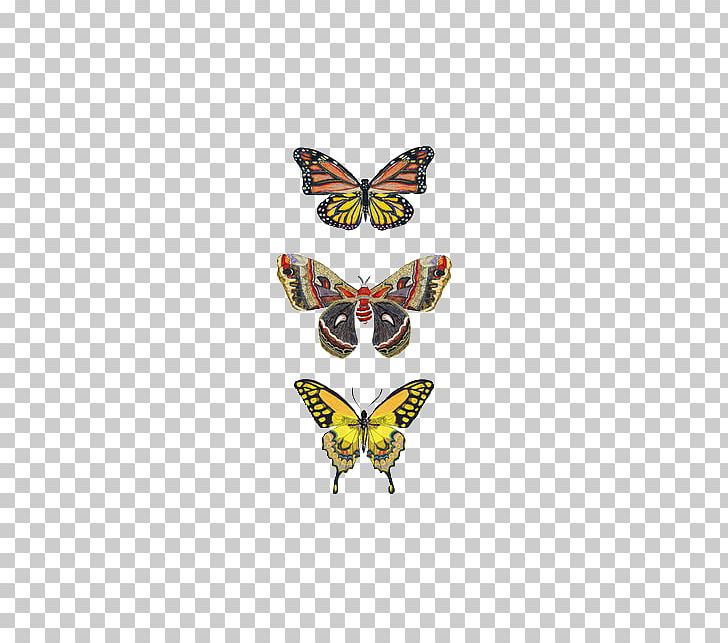 Monarch Butterfly Insect Greta Oto Moth PNG, Clipart, Animal, Arthropod, Brush Footed Butterfly, Butterflies And Moths, Butterfly Free PNG Download