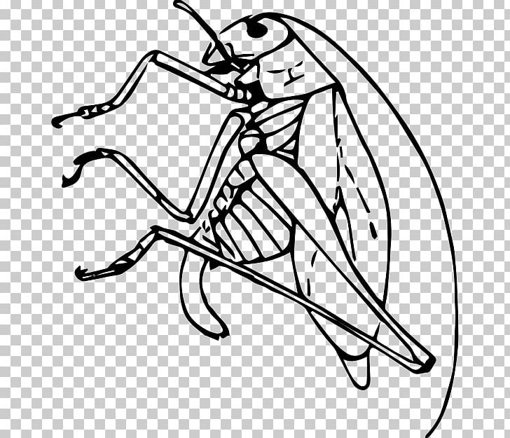 Public Domain PNG, Clipart, Animal, Art, Artwork, Black And White, Cicadidae Free PNG Download