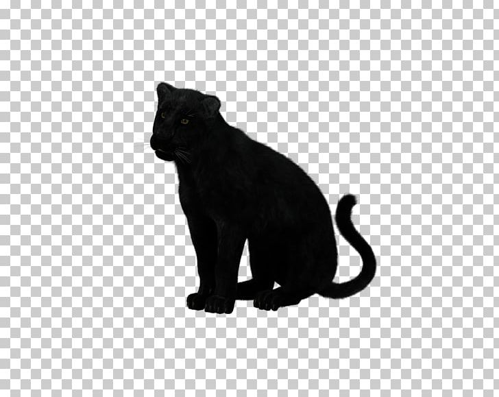 Black Panther Felidae Cat Leopard Cougar PNG, Clipart, Animal, Animal Figure, Big Cat, Big Cats, Black Free PNG Download