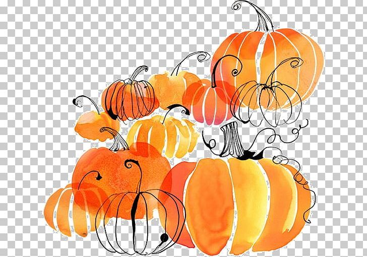 Pumpkin Watercolor Painting Apple Cider PNG, Clipart, Apple, Art, Artwork, Autumn, Calabaza Free PNG Download