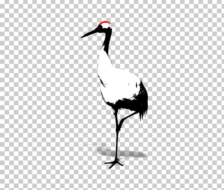 Red-crowned Crane Bird White PNG, Clipart, Anatidae, Animal, Beak, Black And White, Black White Free PNG Download