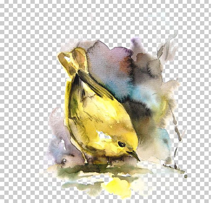 Bird Watercolor Painting Drawing PNG, Clipart, Animals, Art, Beak, Birds, Cartoon Free PNG Download