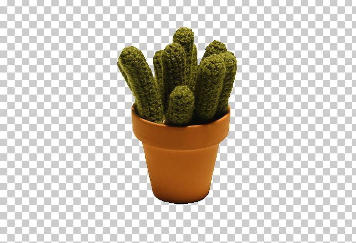 Cactaceae Echinopsis Oxygona Crochet Icon PNG, Clipart, Apple Pears, Cactaceae, Cactus, Caryophyllales, Crochet Free PNG Download