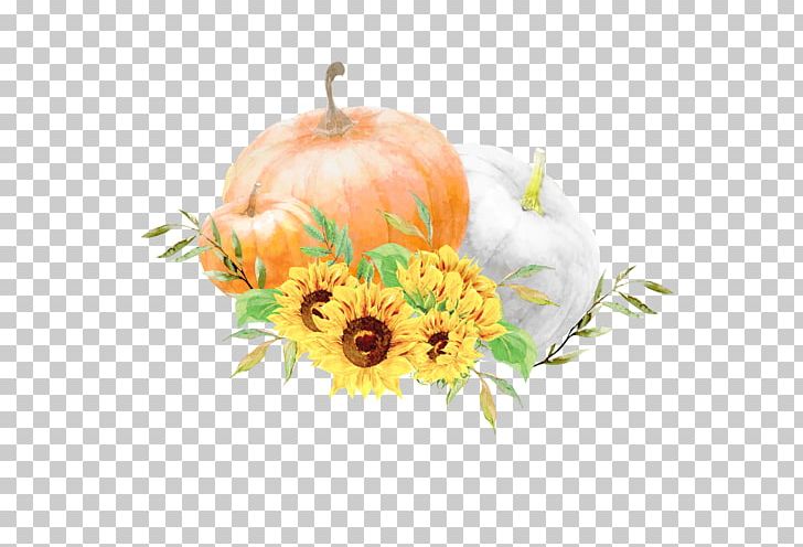 Cucurbita Floral Design Zucchini PNG, Clipart, Apple, Common Sunflower, Cucurbita, Cut Flowers, Floral Design Free PNG Download