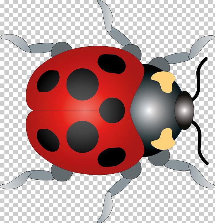 Ladybird Beetle PNG, Clipart, Animal, Animals, Beetle, Cartoon, Coccinella Septempunctata Free PNG Download