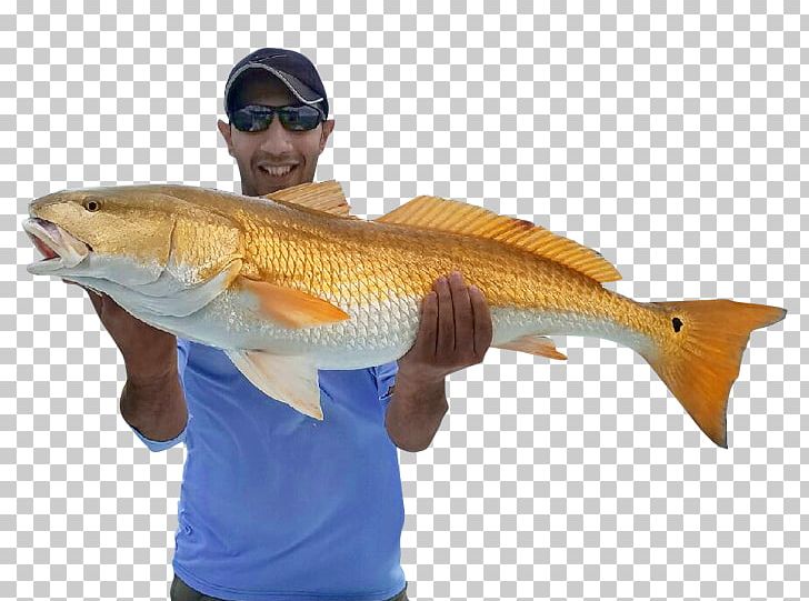 Cape Canaveral Cocoa Beach Recreational Fishing Recreational Boat Fishing PNG, Clipart, Bass, Boating, Cape Canaveral, Cape Canaveral Fishing Charters, Carp Free PNG Download