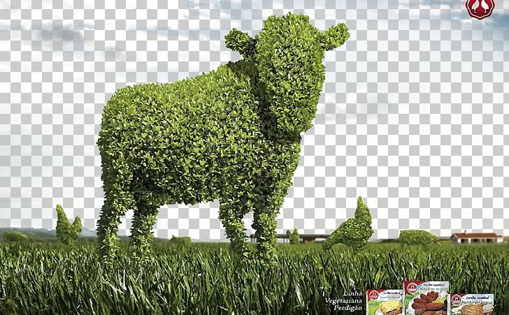 Cattle Creativity PNG, Clipart, Advertising, Art, Artificial Grass, Background, Cows Free PNG Download