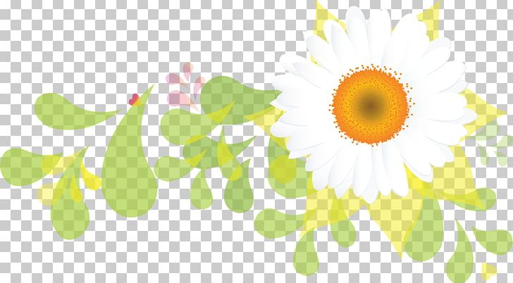 Flower Petal Photography Plant PNG, Clipart, Circle, Computer Wallpaper, Daisy, Daisy Family, Encapsulated Postscript Free PNG Download