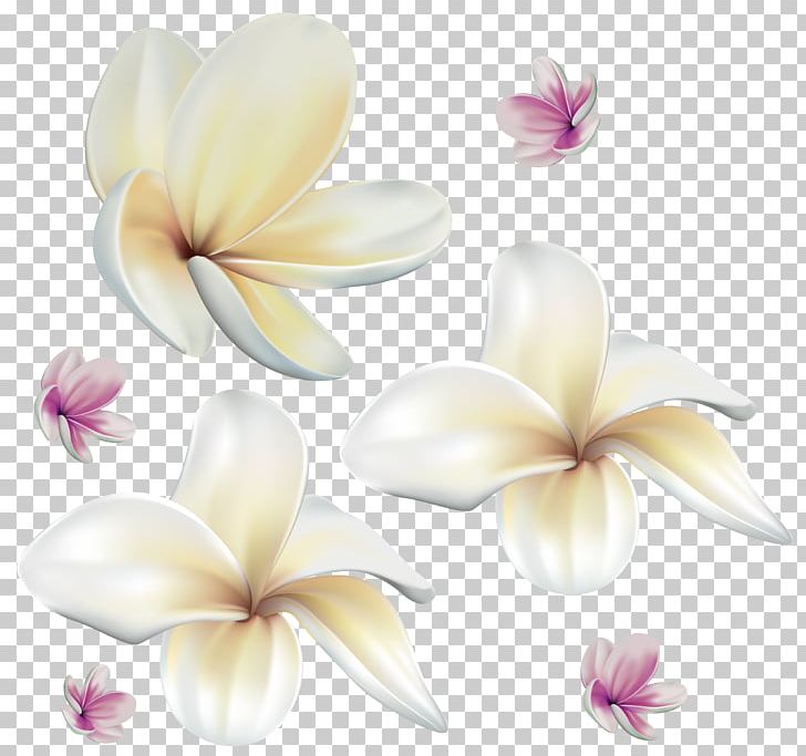 Flower PNG, Clipart, Clip Art, Clipart, Exotic, Floral Design, Flower Free PNG Download