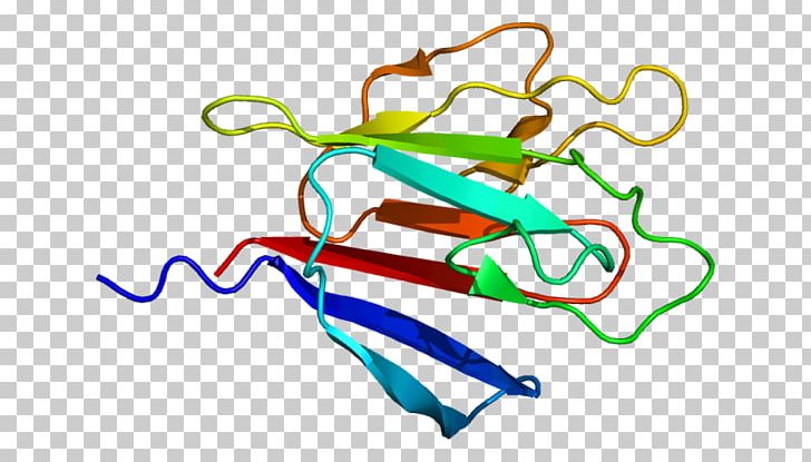 Ki-67 Protein Antigen Interphase Cell PNG, Clipart, Antibody, Antigen, Area, Breast Cancer, Cell Free PNG Download
