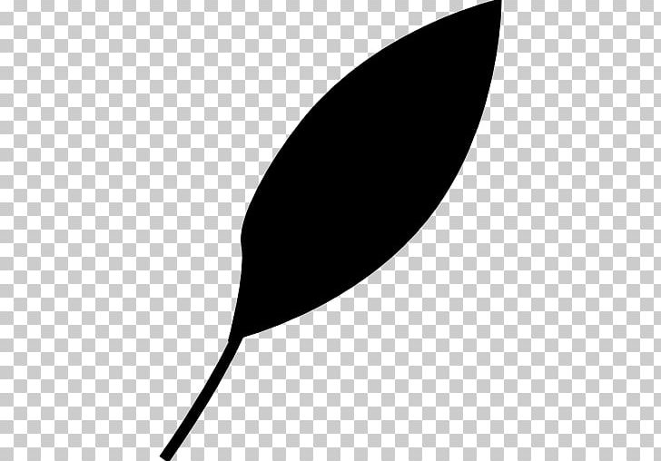 Leaf Computer Icons Ecology PNG, Clipart, Black, Black And White, Computer Icons, Download, Ecology Free PNG Download