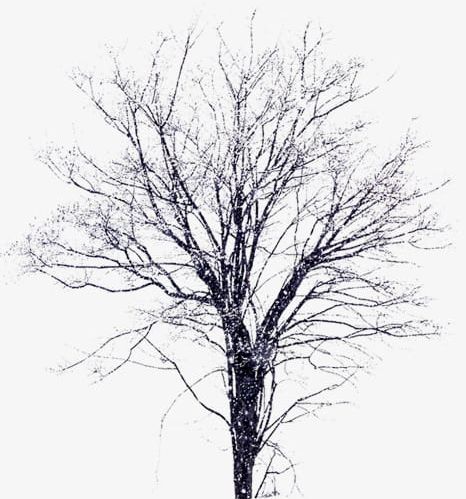 Winter Snow Tree PNG, Clipart, Snow, Snow Clipart, Snowflake, Tree, Tree Clipart Free PNG Download