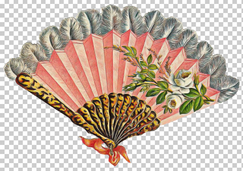 Decorative Fan Hand Fan Scallop Home Appliance PNG, Clipart, Decorative Fan, Hand Fan, Home Appliance, Scallop Free PNG Download