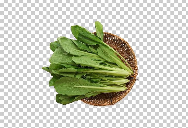 Choy Sum Romaine Lettuce Cabbage Spring Greens Collard Greens PNG, Clipart, Background Green, Bok Choy, Cabbage, Chinese Broccoli, Encapsulated Postscript Free PNG Download