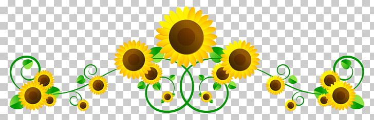 Common Sunflower Photography PNG, Clipart, Bertikal, Child, Common Sunflower, Computer Icons, Daisy Family Free PNG Download