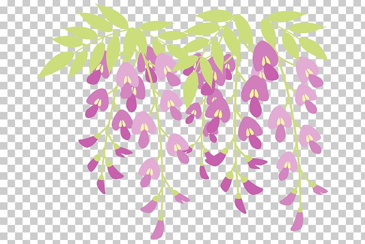 Japanese Wisteria Green Illustration Flower Water Lily PNG, Clipart, Branch, Color, Flora, Floral Background Material, Floral Design Free PNG Download