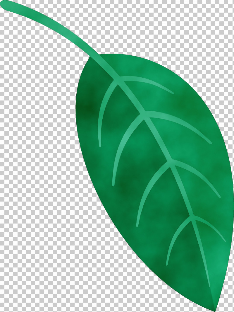 Leaf Green Plant Structure Science Plants PNG, Clipart, Biology, Green, Leaf, Paint, Plants Free PNG Download