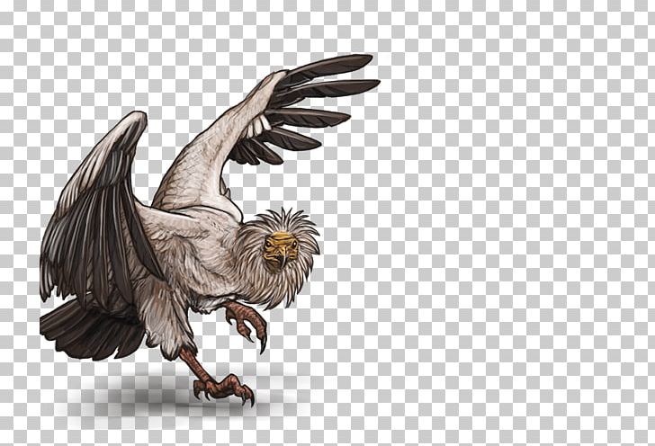 Bald Eagle Lion Bird Egyptian Vulture PNG, Clipart, Animals, Bald Eagle, Beak, Bird, Bird Of Prey Free PNG Download