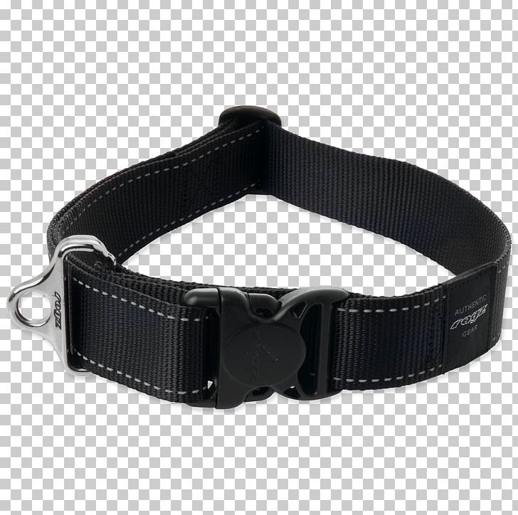 Dog Collar Cat Dog Collar Leash PNG, Clipart, Animals, Belt, Belt Buckle, Cat, Collar Free PNG Download