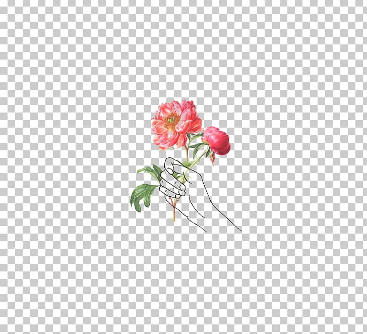 Drawing Illustration Rose Sketch PNG, Clipart, Cut Flowers, Drawing, Fantastic, Flora, Floral Design Free PNG Download