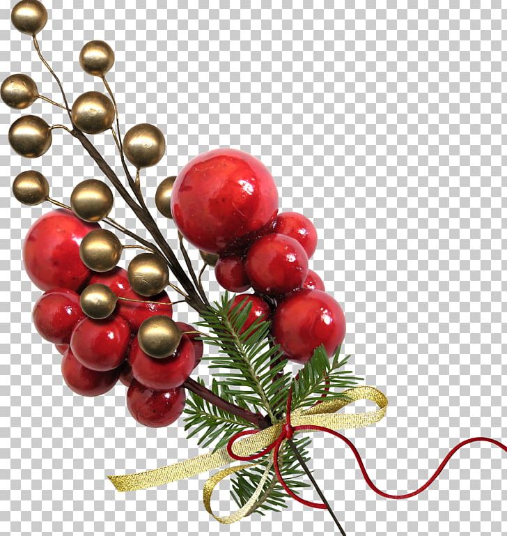 Christmas Cranberry Holiday PNG, Clipart, Berry, Christmas, Christmas Decoration, Christmas Ornament, Cranberry Free PNG Download