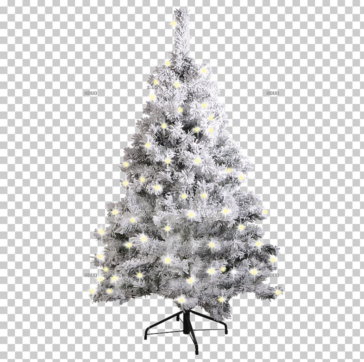 Christmas Tree Spruce Fir Christmas Ornament Pine PNG, Clipart, Christmas, Christmas Decoration, Christmas Ornament, Christmas Tree, Conifer Free PNG Download