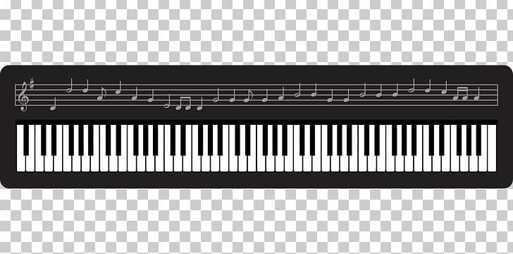 Digital Piano Electric Piano Nord Electro Player Piano Musical Keyboard PNG, Clipart, Analog Synthesizer, Celesta, Digital Piano, Electric Piano, Electronic Device Free PNG Download