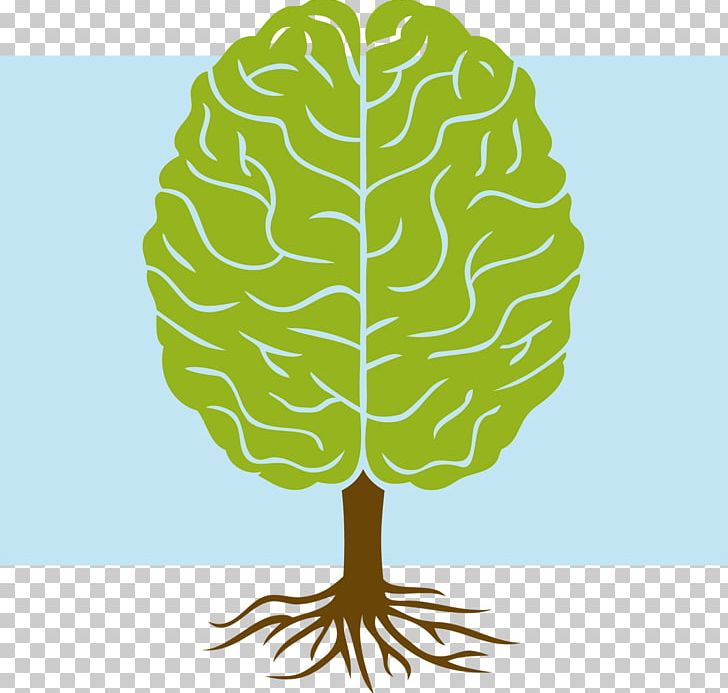 Tree Skull Nature Science Research PNG, Clipart, Agy, Brain, Flvx, Grinder, Health Free PNG Download