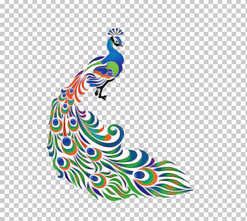 Feather PNG, Clipart, Bird, Feather, Peafowl, Turquoise Free PNG Download