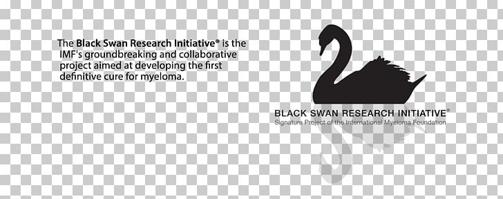 Black Swan Nights Logo Brand CD Baby PNG, Clipart, Black, Black And White, Black Swan Nights, Brand, Calligraphy Free PNG Download