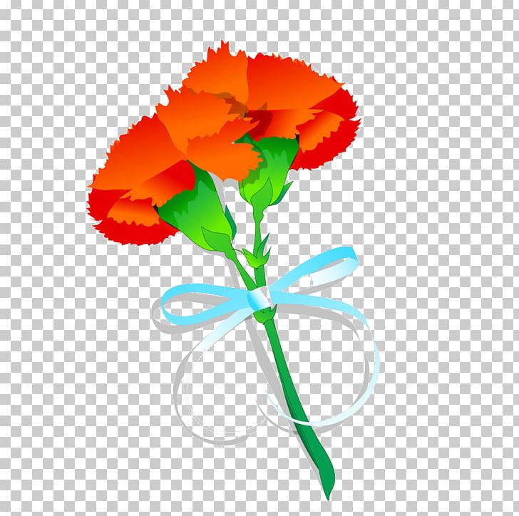 Carnation Cut Flowers PNG, Clipart, Annual Plant, Carnation, Cut Flowers, Download, Flora Free PNG Download