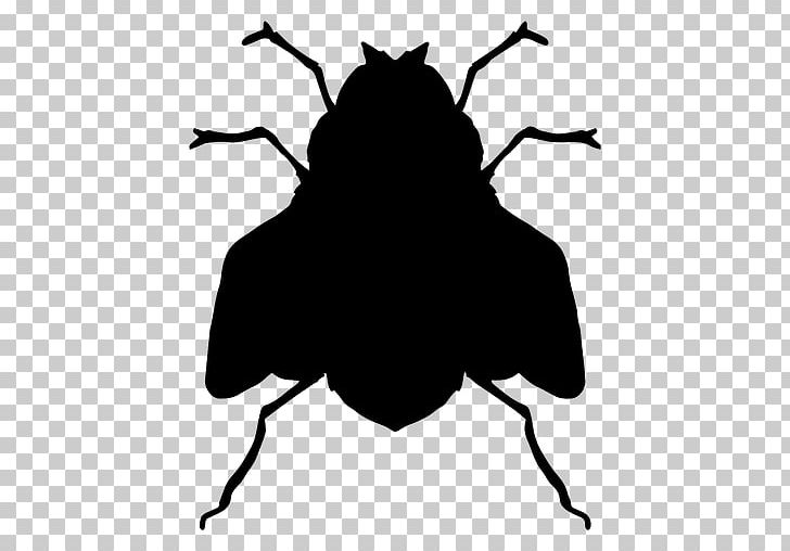 Fly Silhouette Insect PNG, Clipart, Animation, Artwork, Black, Black And White, Branch Free PNG Download