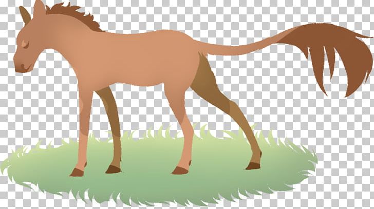 Foal Mustang Stallion Donkey Camel PNG, Clipart, Camelids, Camel Like Mammal, Carnivoran, Carnivores, Colt Free PNG Download