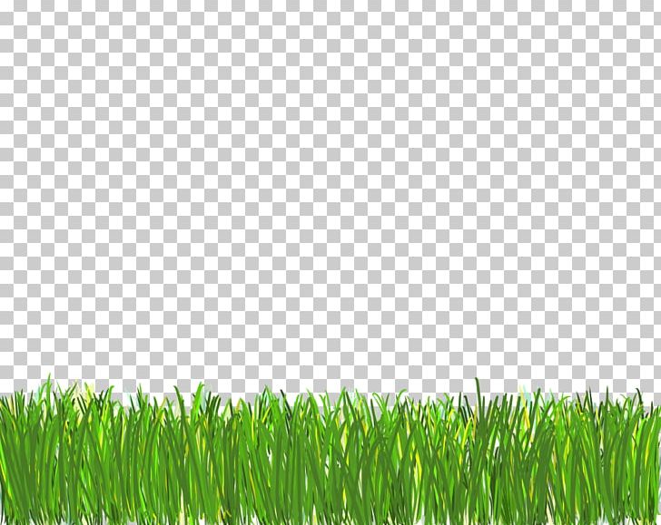 Lawn Computer Icons Desktop PNG, Clipart, Art Designs, Clip Art, Commodity, Computer Icons, Desktop Wallpaper Free PNG Download