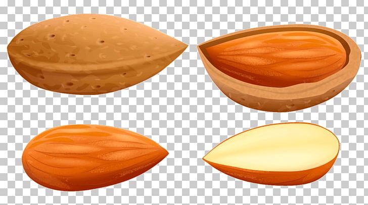 Nut Almond Fruit PNG, Clipart, Almond, Apple, Apricot, Cherry, Commodity Free PNG Download