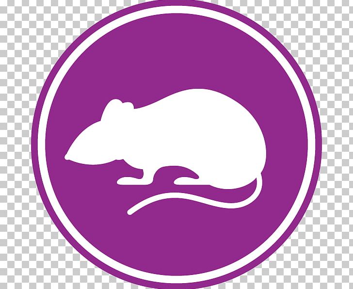 Rat Mouse Pest Control Rodent PNG, Clipart, Area, Artwork, Business, Circle, Deratizace Free PNG Download